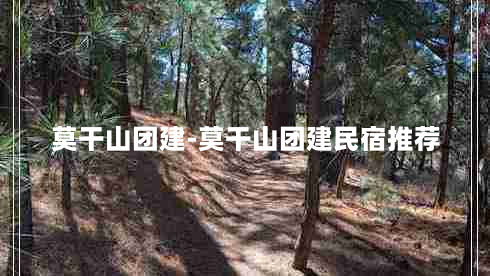 莫干山团建-莫干山团建民宿推荐