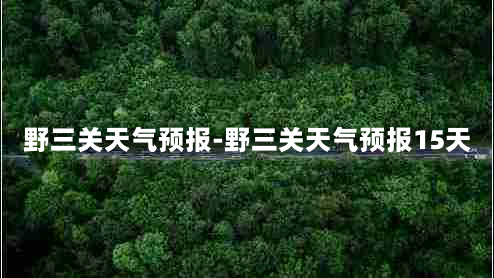 野三关天气预报-野三关天气预报15天