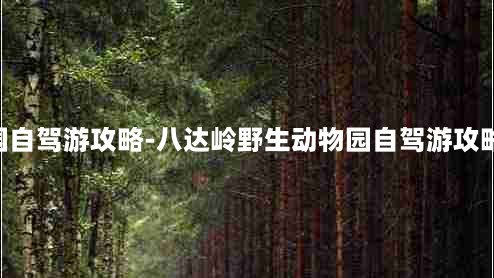 八达岭野生动物园自驾游攻略-八达岭野生动物园自驾游攻略 多少公里转一圈