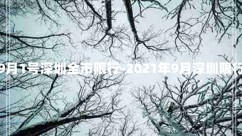 9月1号深圳全市限行-2021年9月深圳限行