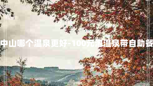 中山哪个温泉更好-100元泡温泉带自助餐