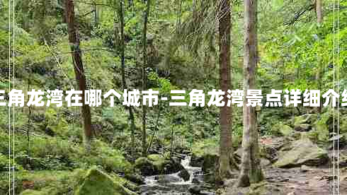 三角龙湾在哪个城市-三角龙湾景点详细介绍