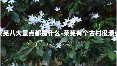 莱芜八大景点都是什么-莱芜有个古村很漂亮