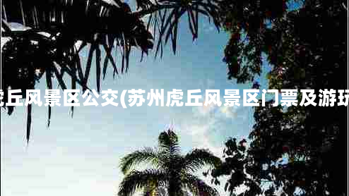 苏州虎丘风景区公交(苏州虎丘风景区门票及游玩攻略)