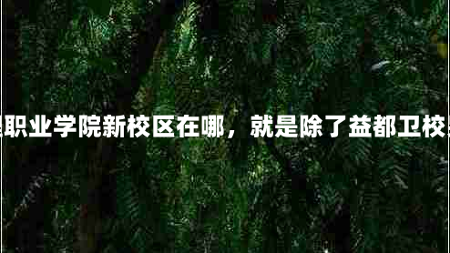 云驼风景区(潍坊护理职业学院新校区在哪，就是除了益都卫校另外的新校区在哪？)