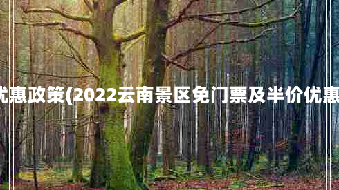 景点门票优惠政策(2022云南景区免门票及半价优惠政策汇总)