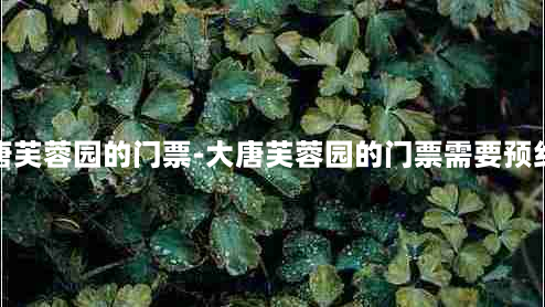 大唐芙蓉园的门票-大唐芙蓉园的门票需要预约吗