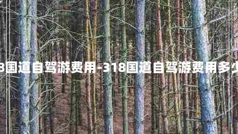 318国道自驾游费用-318国道自驾游费用多少钱