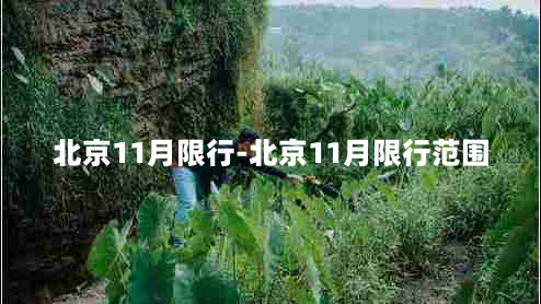 北京11月限行-北京11月限行范围