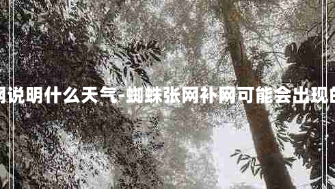 蜘蛛张网补网说明什么天气-蜘蛛张网补网可能会出现的天气状况是