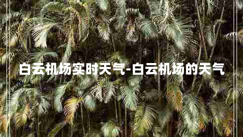 白云机场实时天气-白云机场的天气