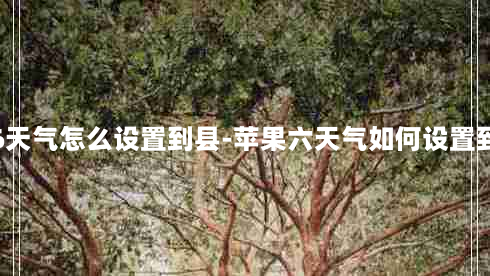 苹果6天气怎么设置到县-苹果六天气如何设置到区县