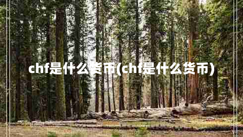 chf是什么货币(chf是什么货币)