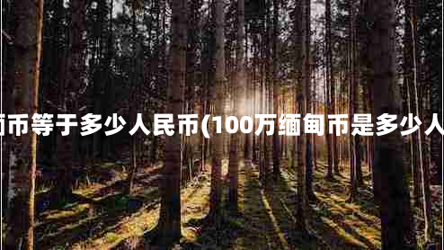 100万缅币等于多少人民币(100万缅甸币是多少人民币？)