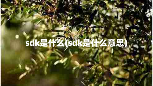 sdk是什么(sdk是什么意思)