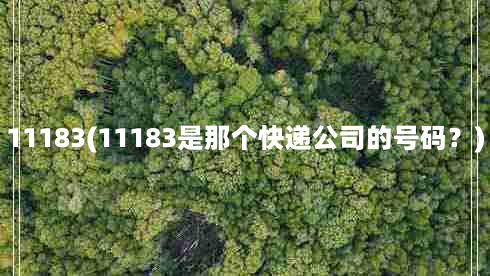 11183(11183是那个快递公司的号码？)