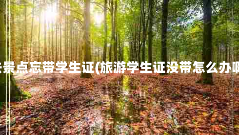 去景点忘带学生证(旅游学生证没带怎么办啊)