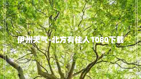 伊州天气-北方有佳人1080下载