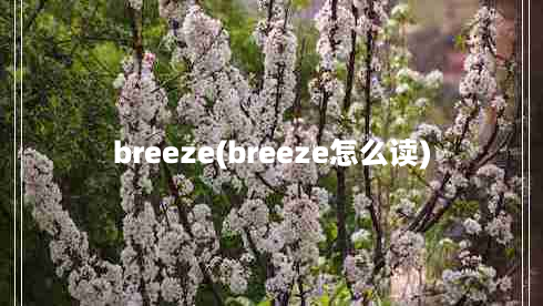 breeze(breeze怎么读)