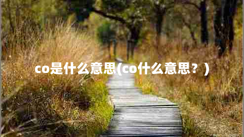 co是什么意思(co什么意思？)