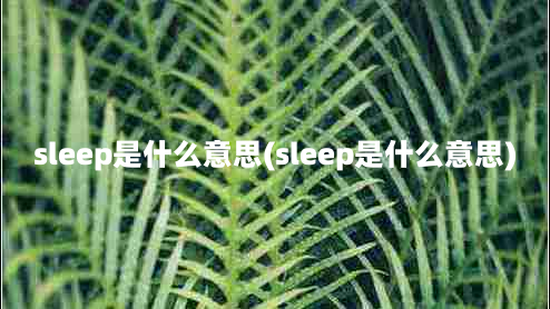 sleep是什么意思(sleep是什么意思)