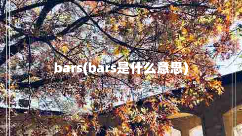 bars(bars是什么意思)