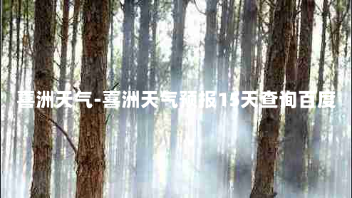 喜洲天气-喜洲天气预报15天查询百度