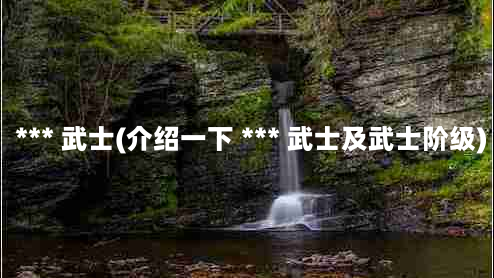  *** 武士(介绍一下 *** 武士及武士阶级)