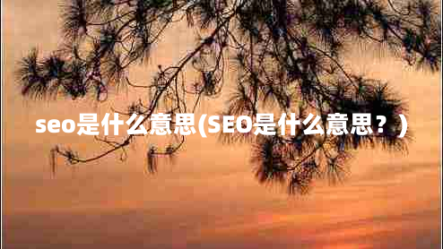 seo是什么意思(SEO是什么意思？)