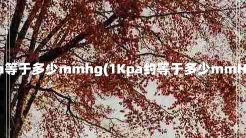 1kpa等于多少mmhg(1Kpa约等于多少mmHg？)