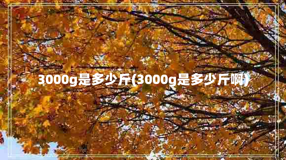 3000g是多少斤(3000g是多少斤啊)