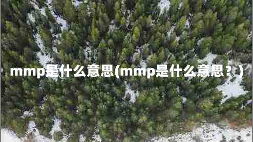 mmp是什么意思(mmp是什么意思？)