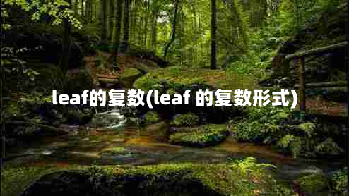 leaf的复数(leaf 的复数形式)