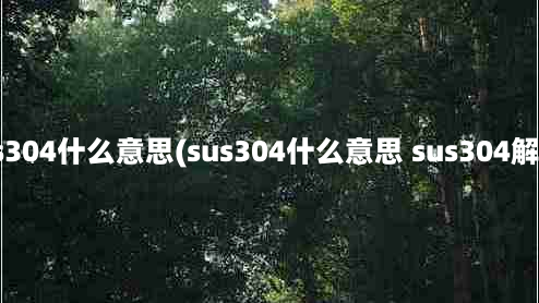 sus304什么意思(sus304什么意思 sus304解释)