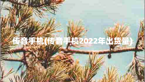 传音手机(传音手机2022年出货量)