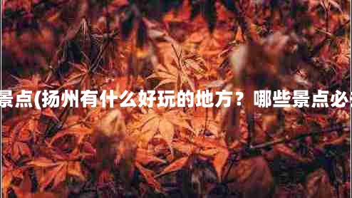 扬州景点(扬州有什么好玩的地方？哪些景点必去？)