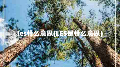 les什么意思(LES是什么意思)