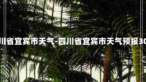 四川省宜宾市天气-四川省宜宾市天气预报30天