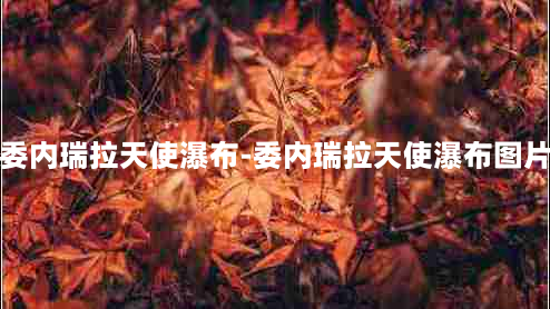 委内瑞拉天使瀑布-委内瑞拉天使瀑布图片