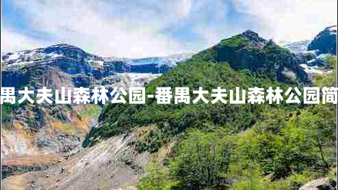 番禺大夫山森林公园-番禺大夫山森林公园简介