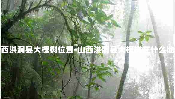 山西洪洞县大槐树位置-山西洪洞县大槐树在什么地方