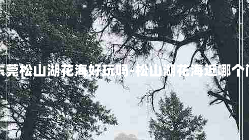 东莞松山湖花海好玩吗-松山湖花海近哪个门