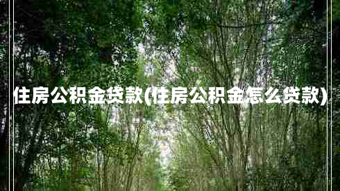 住房公积金贷款(住房公积金怎么贷款)