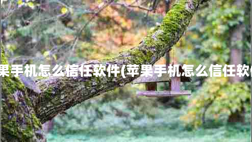 苹果手机怎么信任软件(苹果手机怎么信任软件)