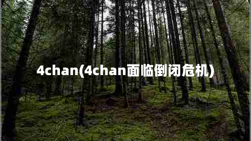 4chan(4chan面临倒闭危机)