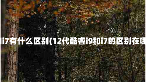 i9和i7有什么区别(12代酷睿i9和i7的区别在哪里)