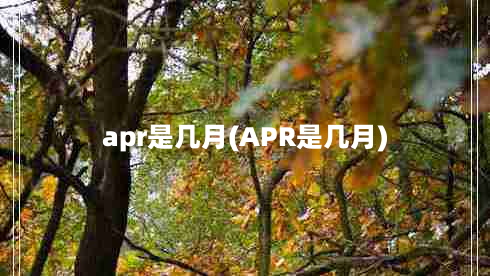 apr是几月(APR是几月)