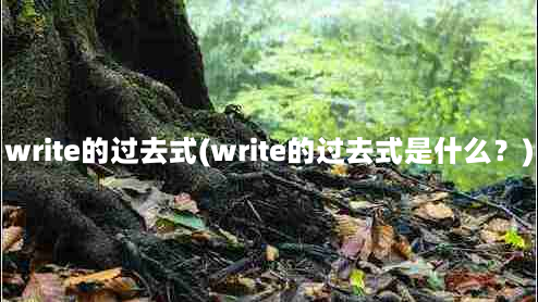 write的过去式(write的过去式是什么？)