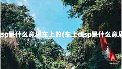 disp是什么意思车上的(车上disp是什么意思)