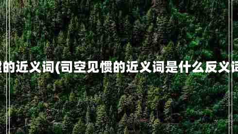 司空见惯的近义词(司空见惯的近义词是什么反义词是什么)